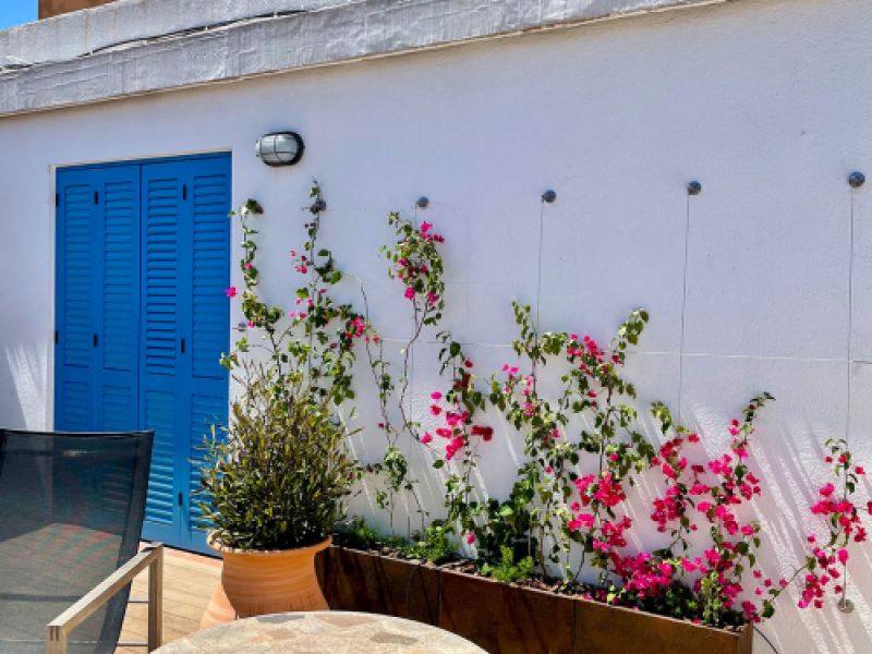 Terraza exterior de Barcelona Paralel con suelo de láminas, pared blanca, puerta azul, maceteros con plantas y flores rosas y mesa redonda con silla gris